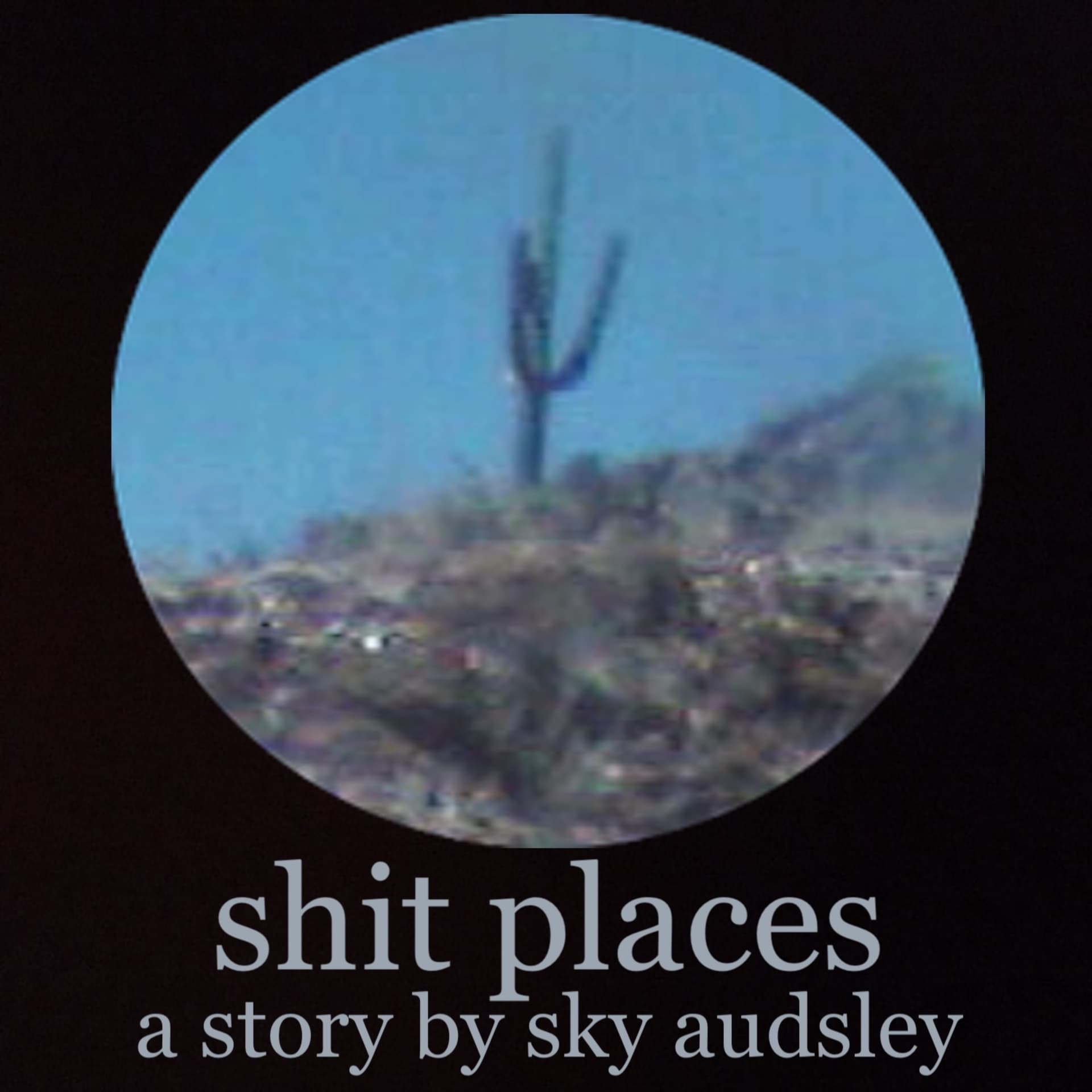 Shit Places Part 3 - Books On Tape cover