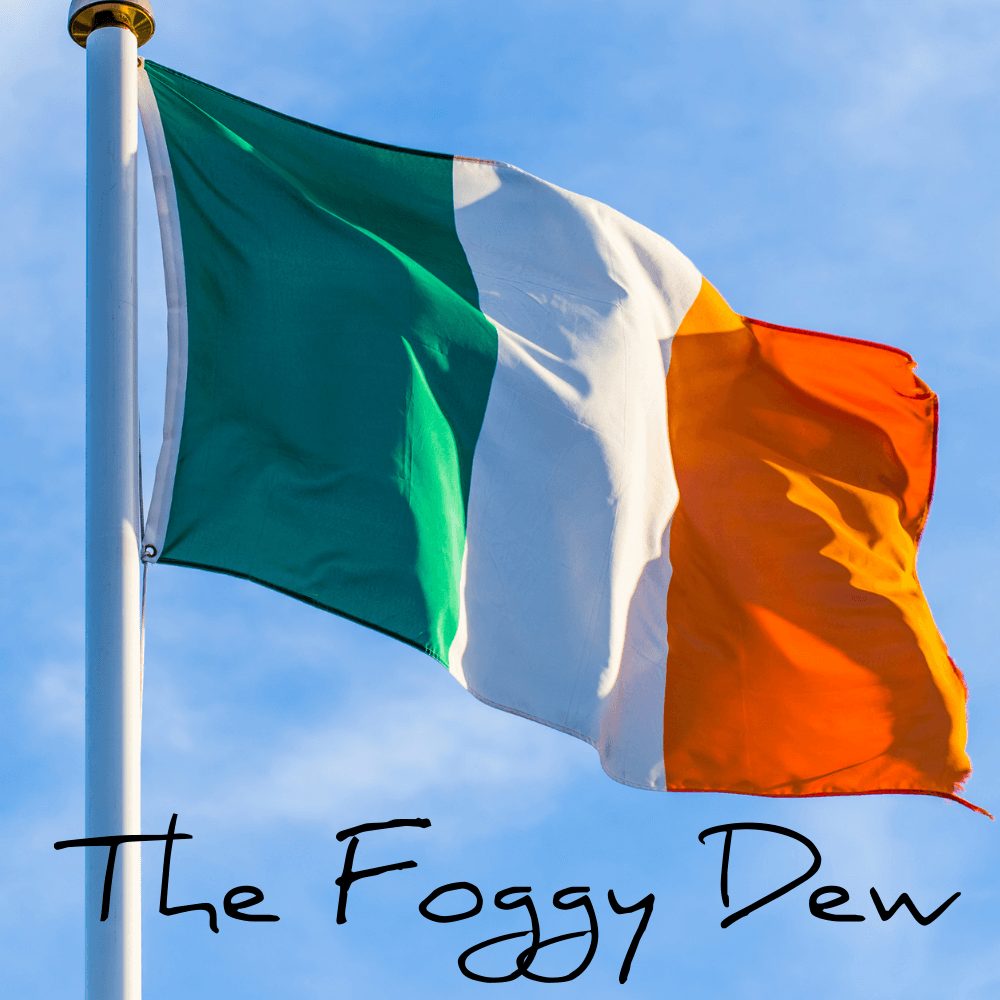 Foggy Dew - jarasaseasongi - muzyczne historie cover