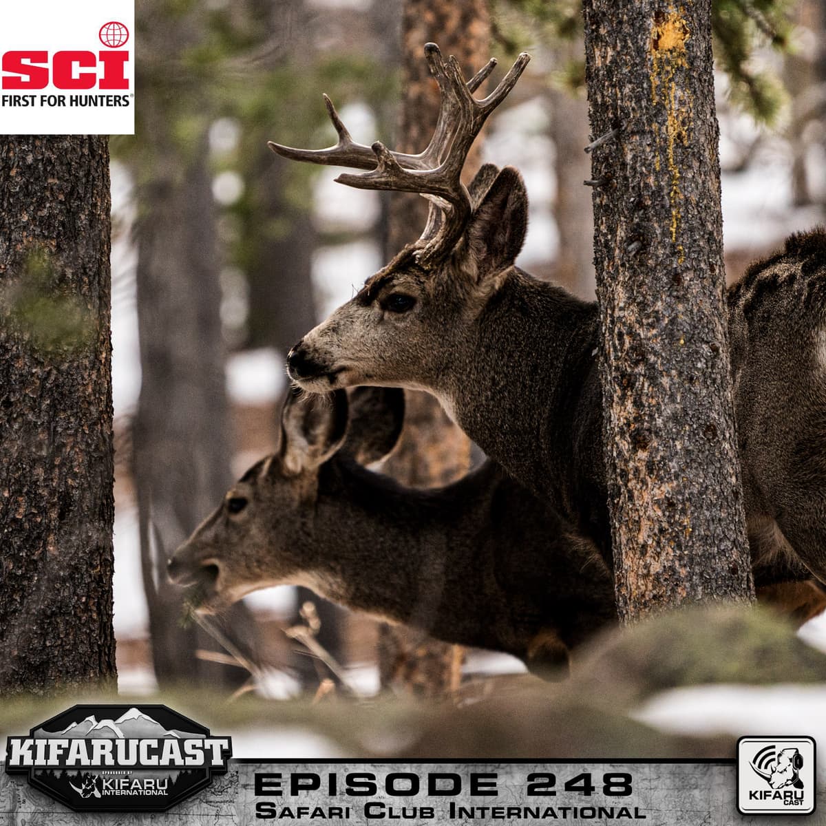 Safari Club International - KIFARUCAST cover