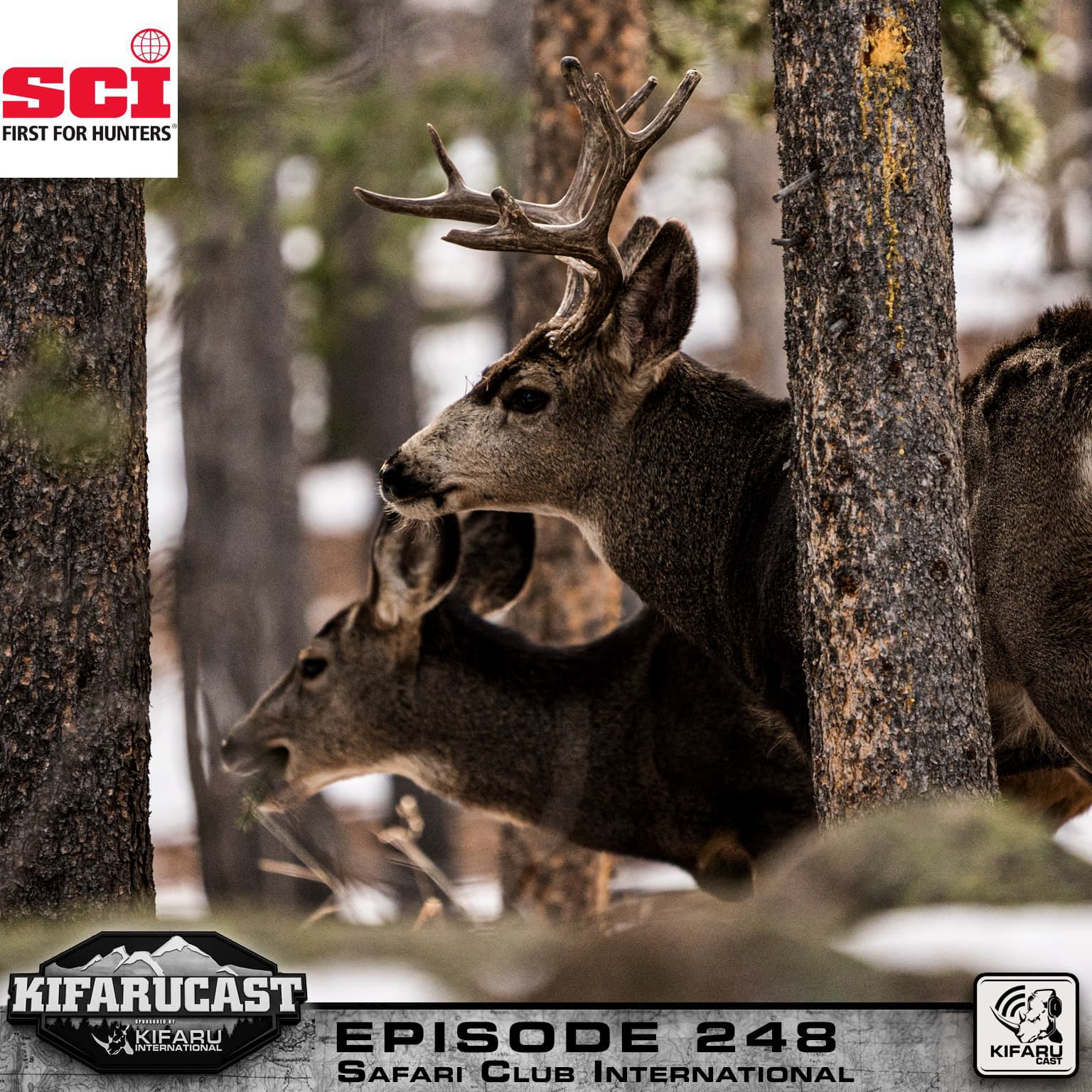 Safari Club International - KIFARUCAST cover