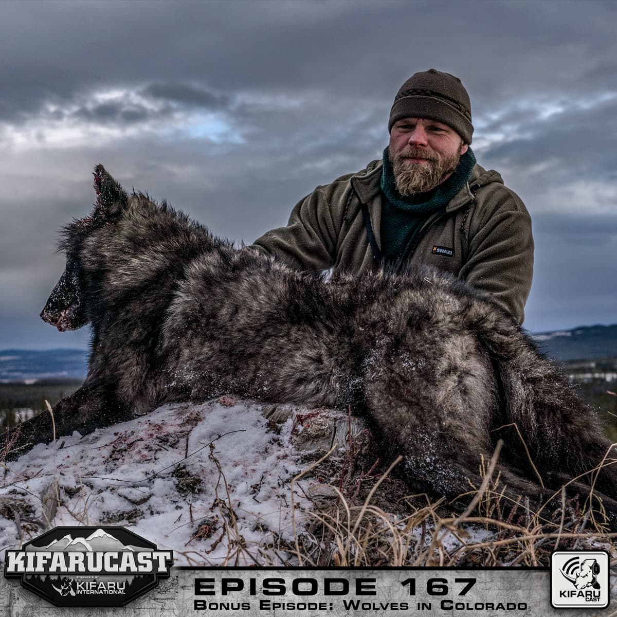 Reintroduction of Wolves in Colorado - KIFARUCAST cover