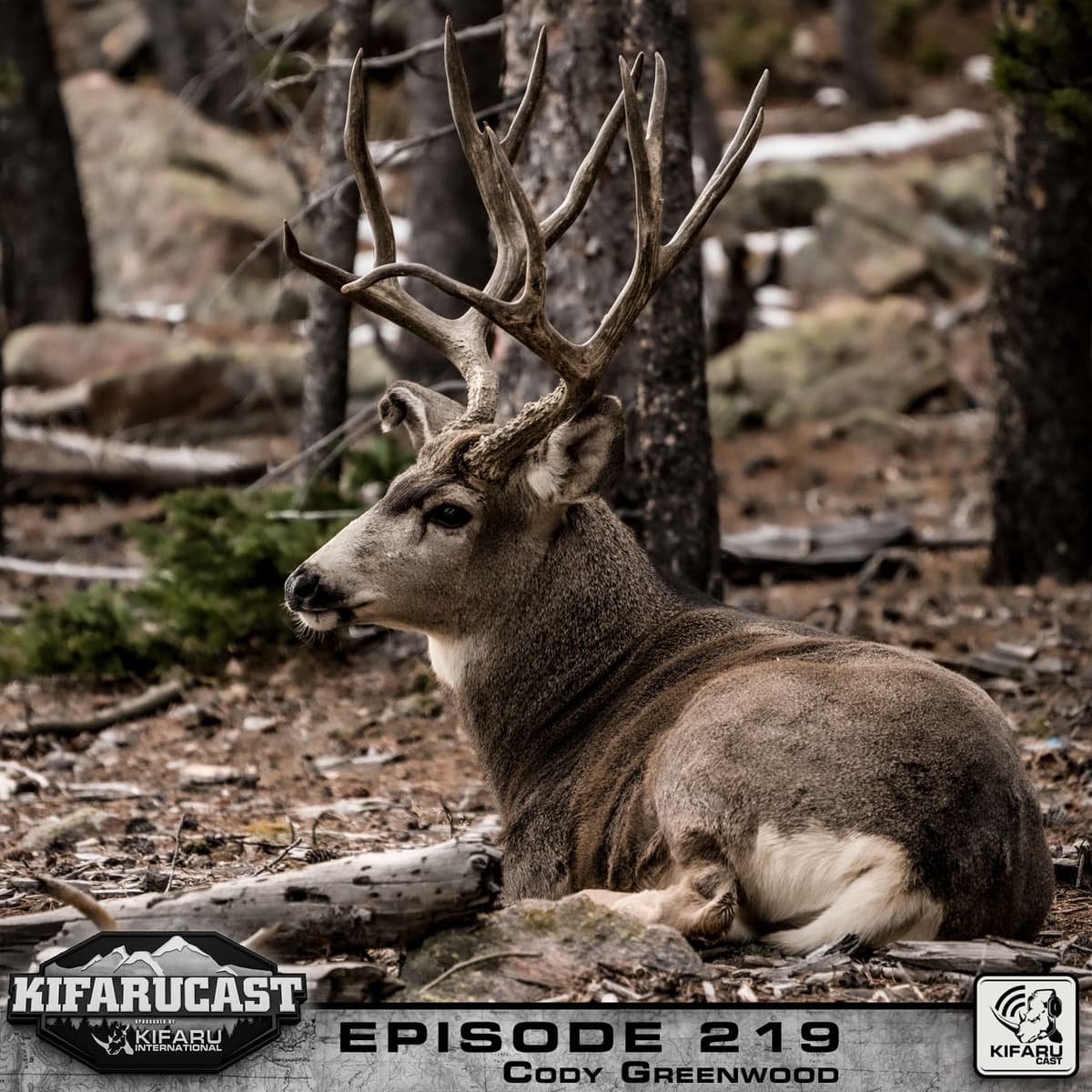 Cody Greenwood - KIFARUCAST cover