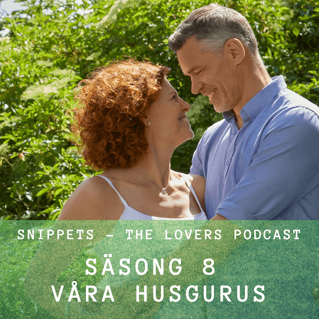 S8E7 - Terry Real - Snippets - The Lovers Podcast cover