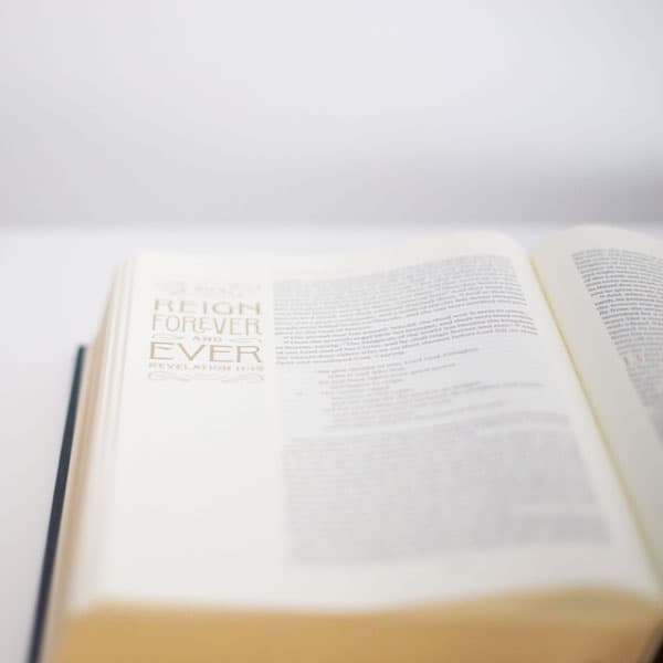 Revelation 1-11 - Revelation - The Scripture Study Project cover