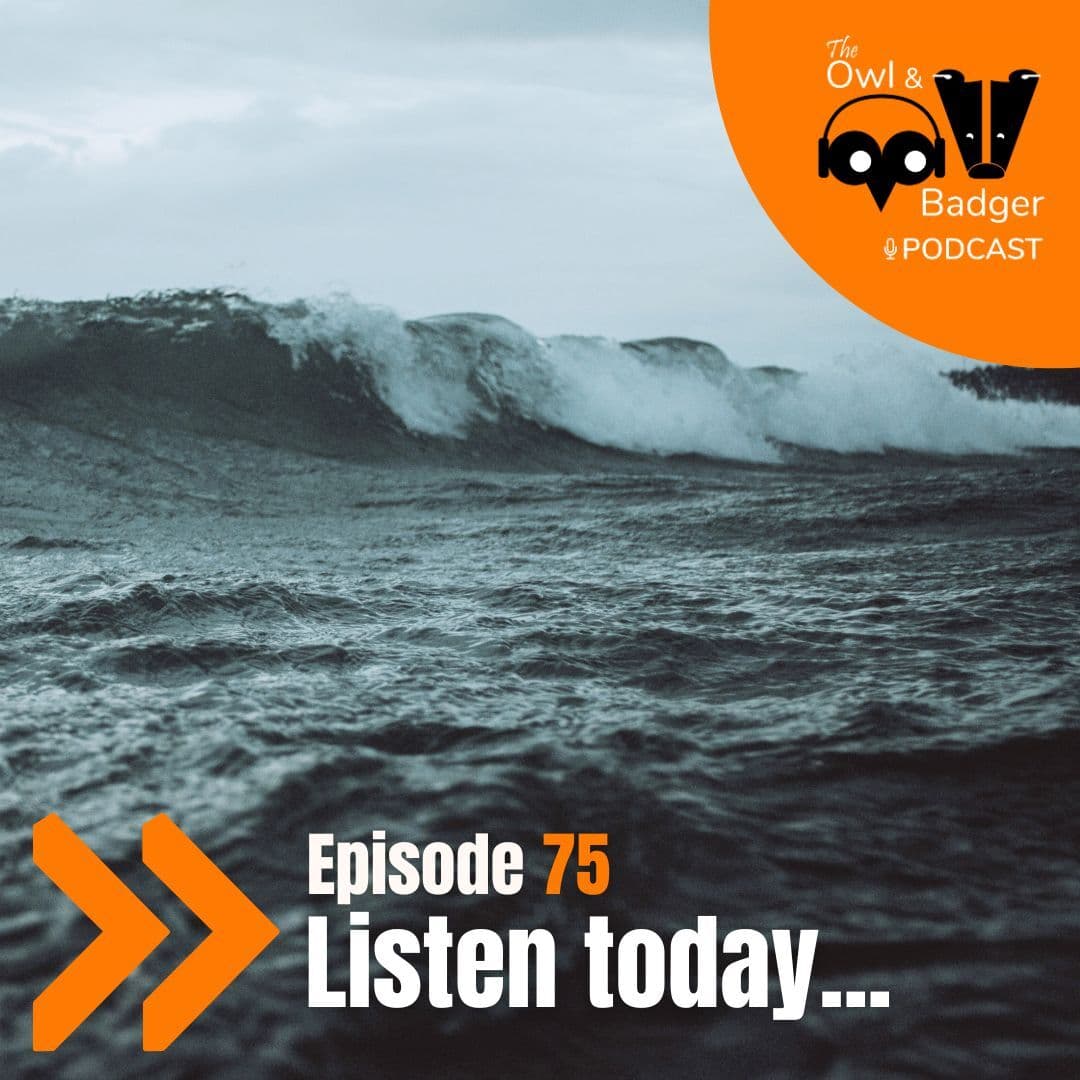 Episode 75 - Faith over fear - The Owl and Badger Podcast cover