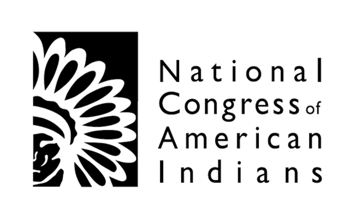 Talking With The President of The National Congress of American Indians - Let's Talk About Race cover