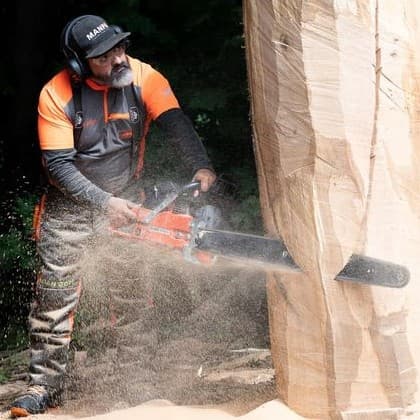 Adrian Bois - Chainsaw Carving cover