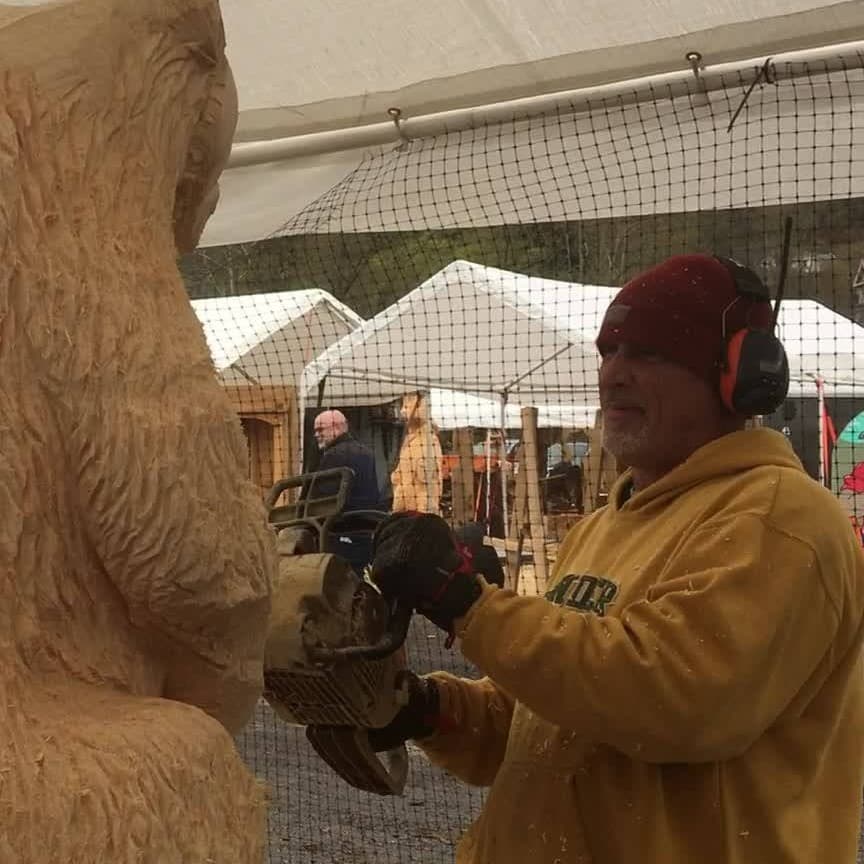 Liz Boni - Chainsaw Carving cover