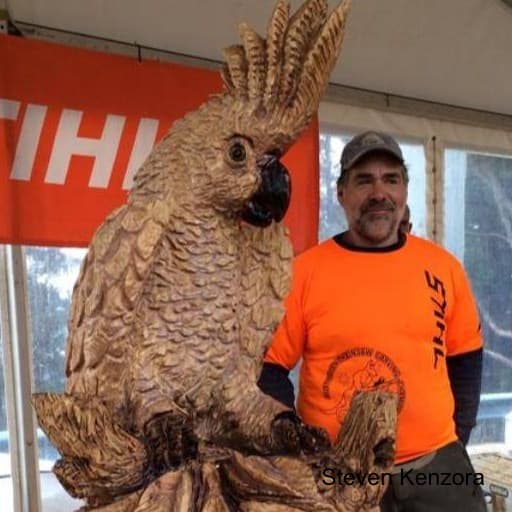 Steven Kenzora - Chainsaw Carving cover