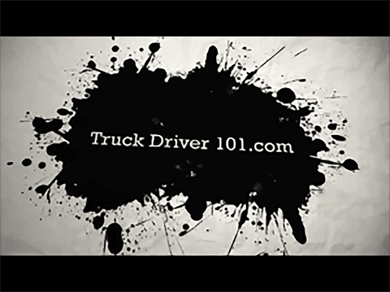 Shop Problems Taco Tattoos Bed Bugs - Truck Driver 101.com cover