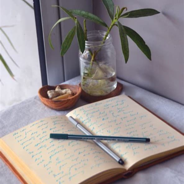 I’m back to Journaling - Today’s Gut Health Tip cover