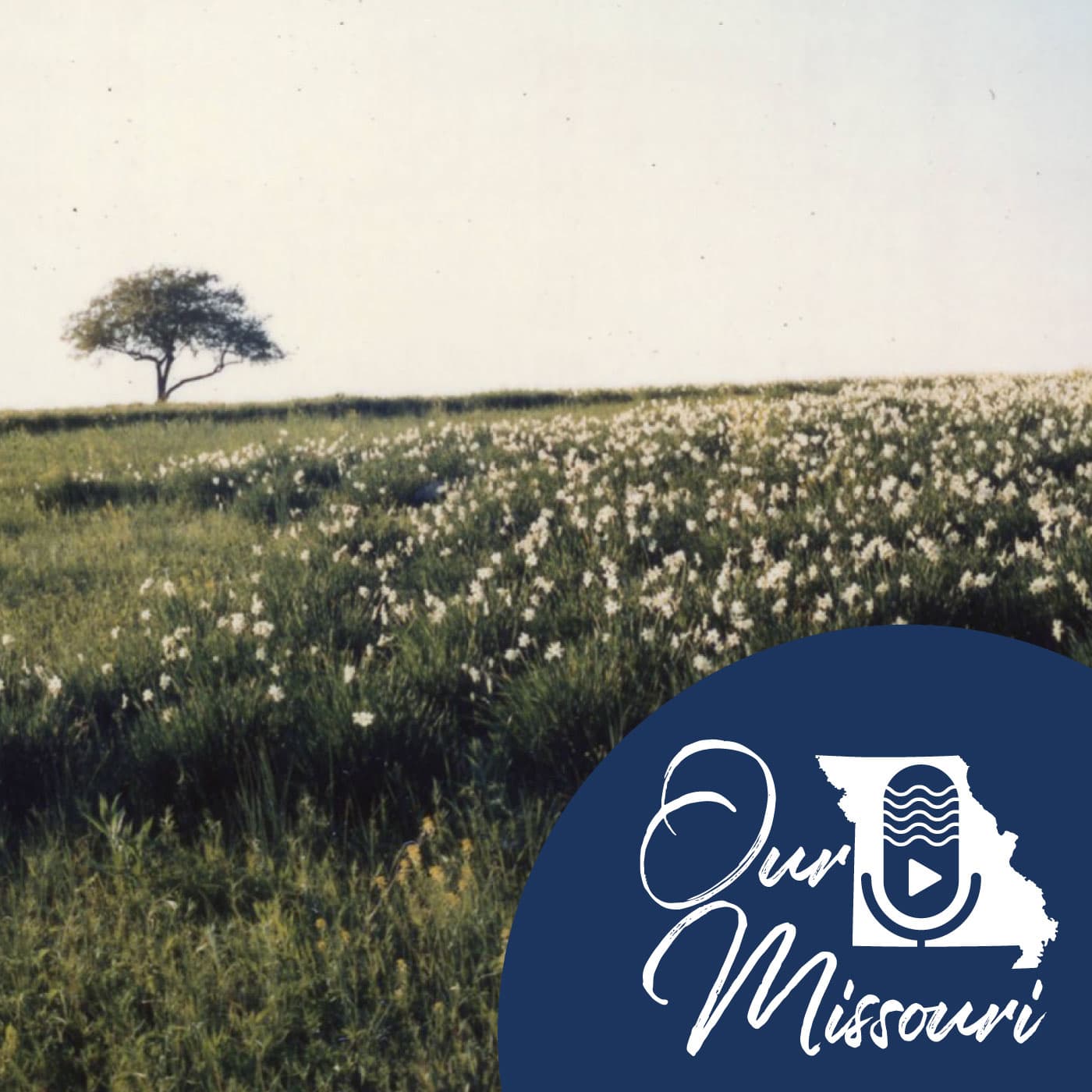 Episode 123: Mound City - Patricia Cleary (Origins, Part 3) — Our Missouri cover
