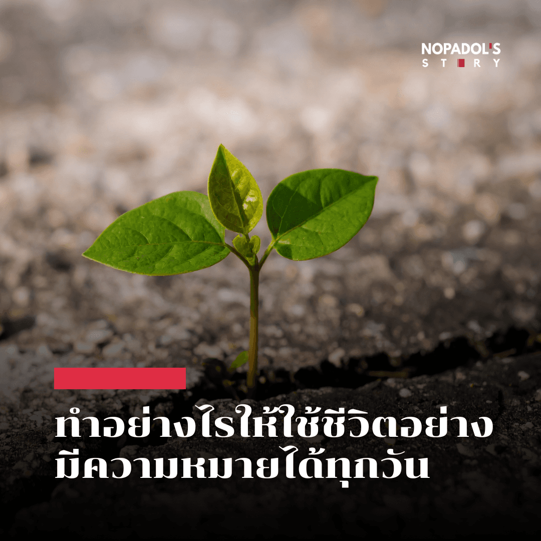 EP 2813 ทำอย่างไรให้ใช้ชีวิตอย่างมีความหมายได้ทุกวัน - Nopadol’s Story cover