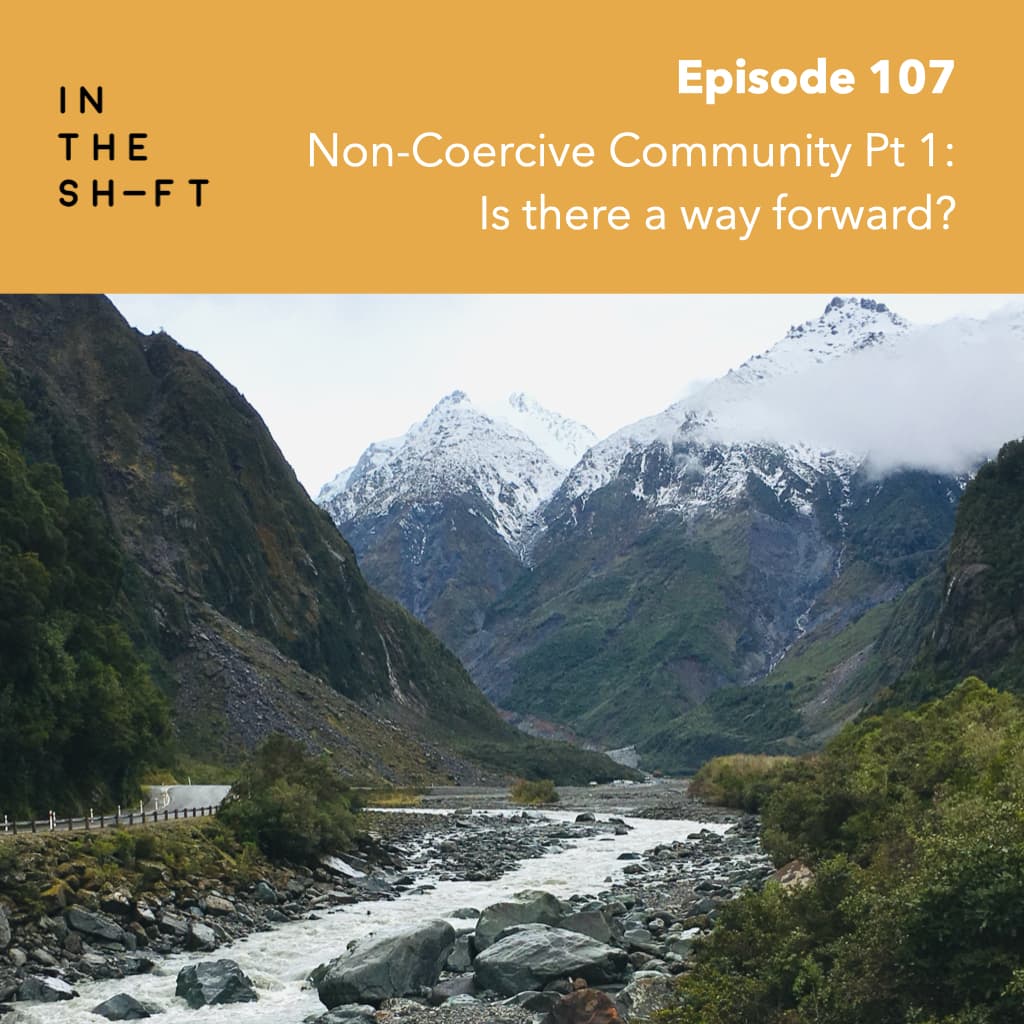 Non-coercive Community Pt 1: Is there a way forward? - In the Shift cover