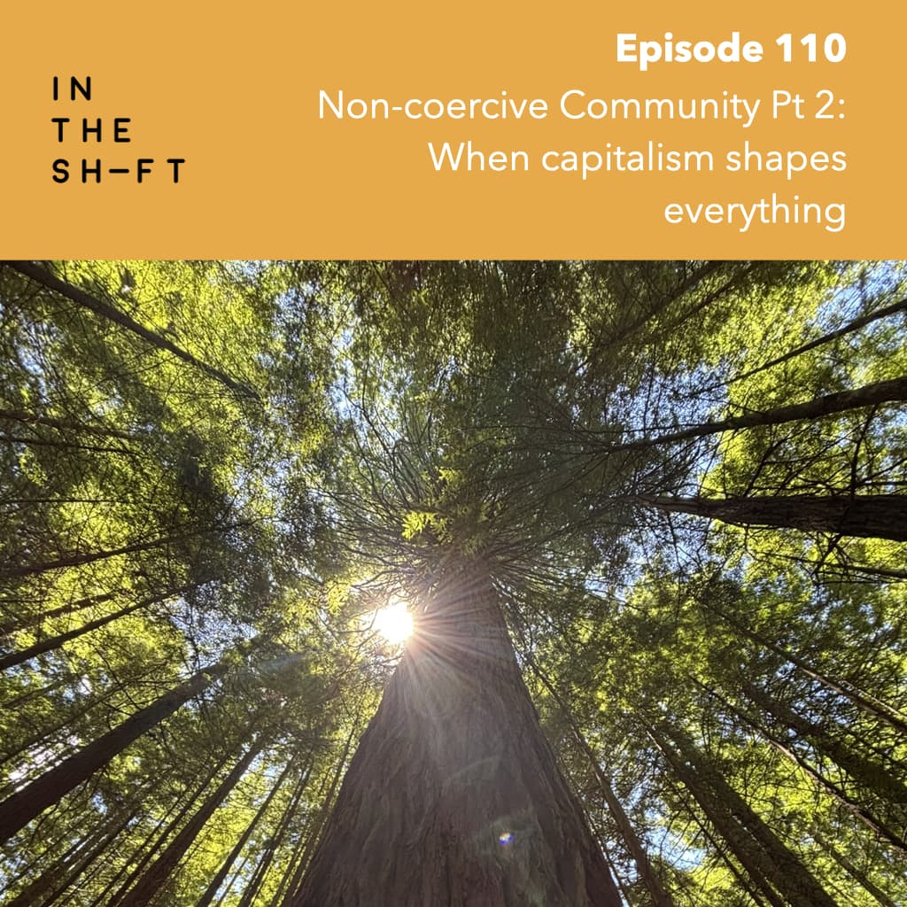 Non-coercive Community Pt 2: When capitalism shapes everything - In the Shift cover