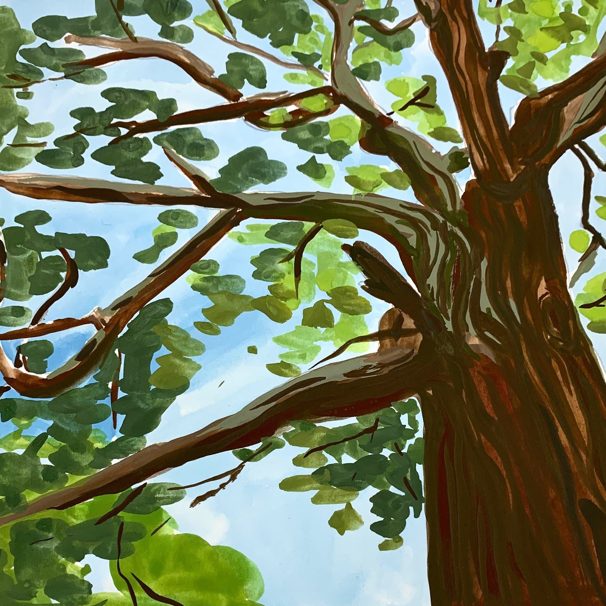 Breaking all the rules - Craft Cook Read Repeat cover