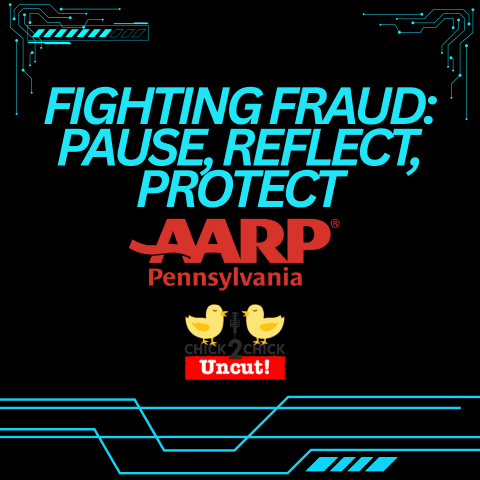 Fighting Fraud: Pause, Reflect, Protect, Chick2Chick Episode #279 - Chick2Chick cover
