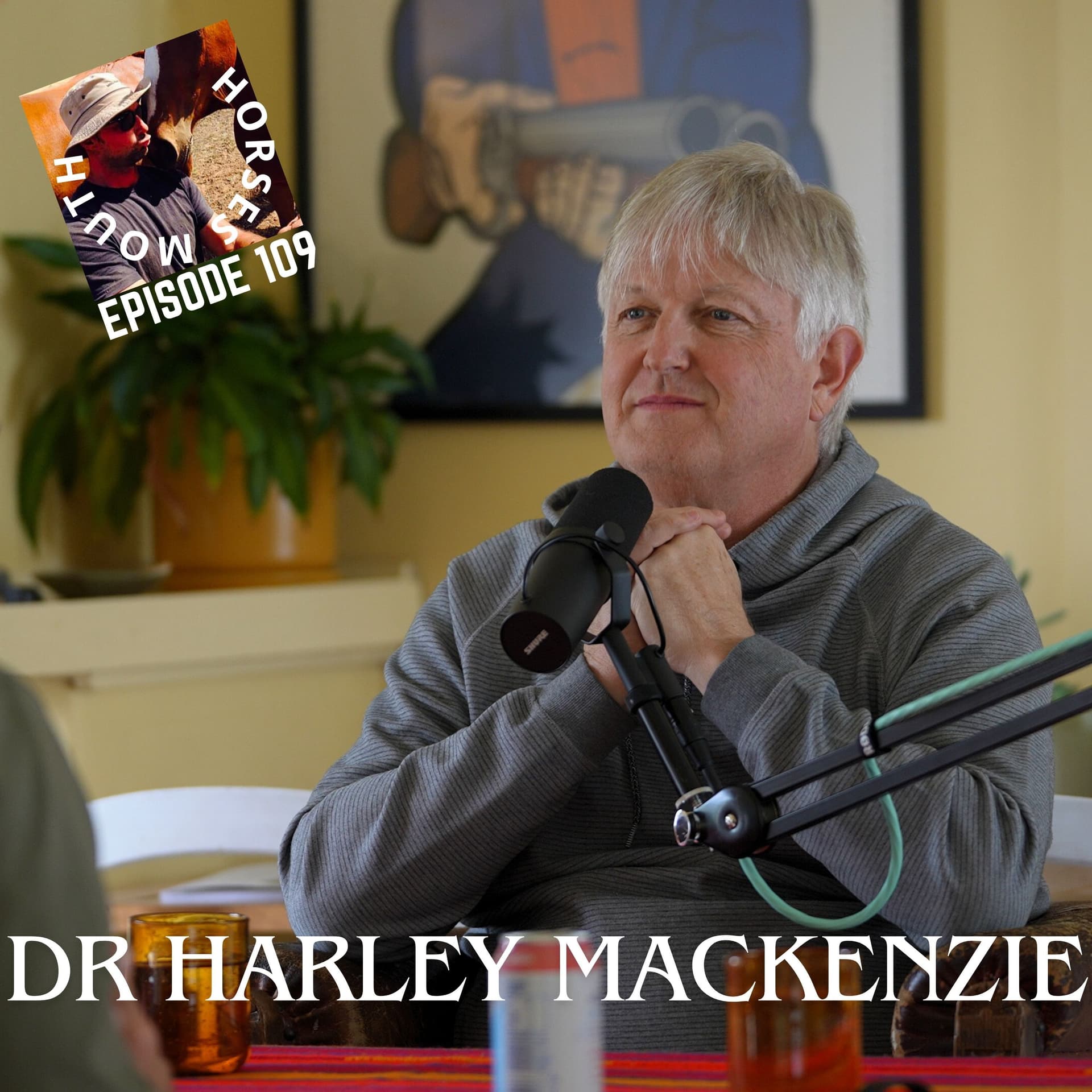 DR HARLEY MACKENZIE - HORSES MOUTH cover
