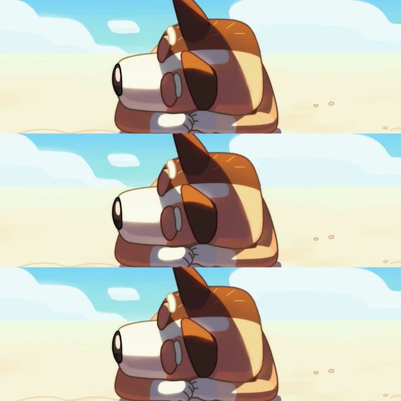 The Beach (aka Skateboard Improbabilities - We Want Insta Proof!) - Gotta Be Done - A Bluey Podcast cover