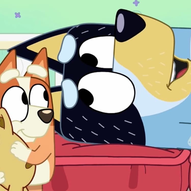 Hospital (aka Questionable Medico-Legal Decisions) - Gotta Be Done - A Bluey Podcast cover