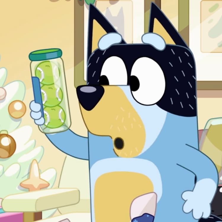 Christmas Swim (aka A Christmas Treat and Schweppes Classic Catches) - Gotta Be Done - A Bluey Podcast cover