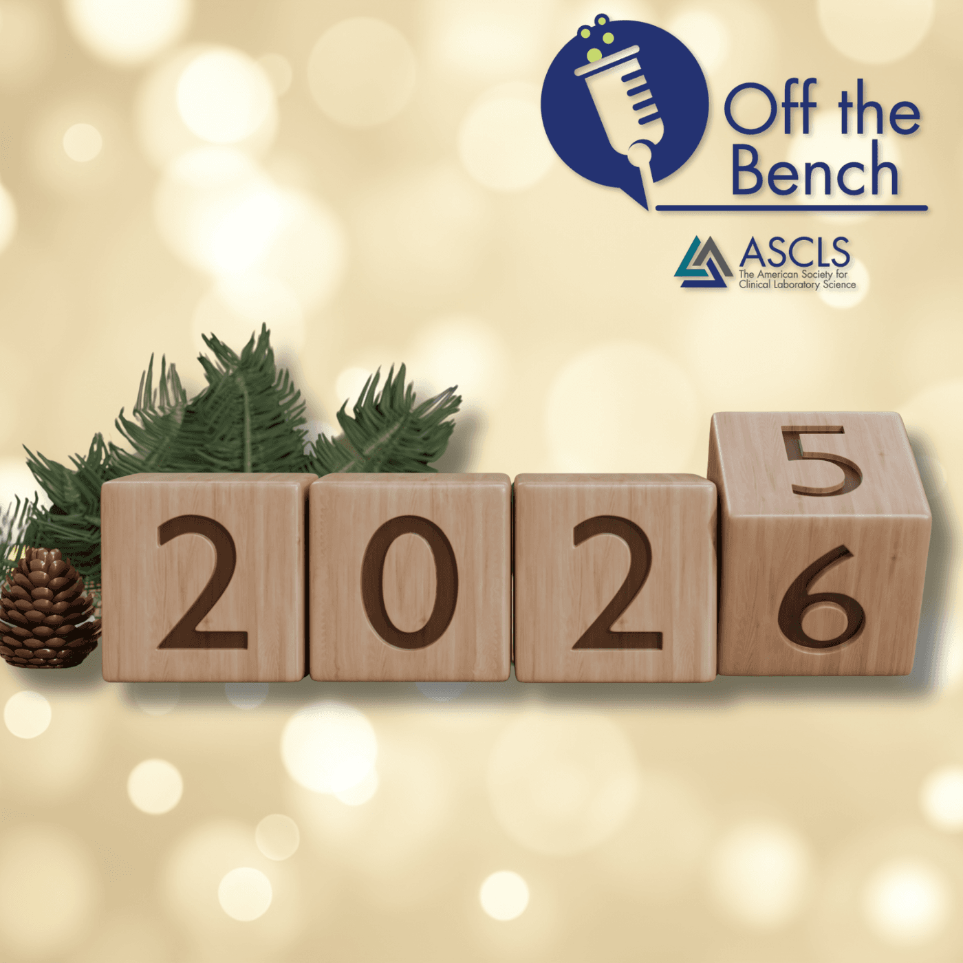 The 2025 Wrap Up - Off the Bench cover