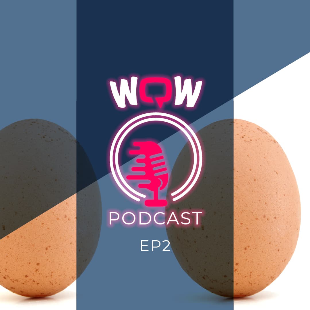 Get better value for your buck - Lets talk about Audience Efficiency - WOW Influence cover