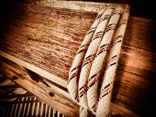 S7 E1: Found Hanging by a Jump Rope - KXAN Catalyst cover