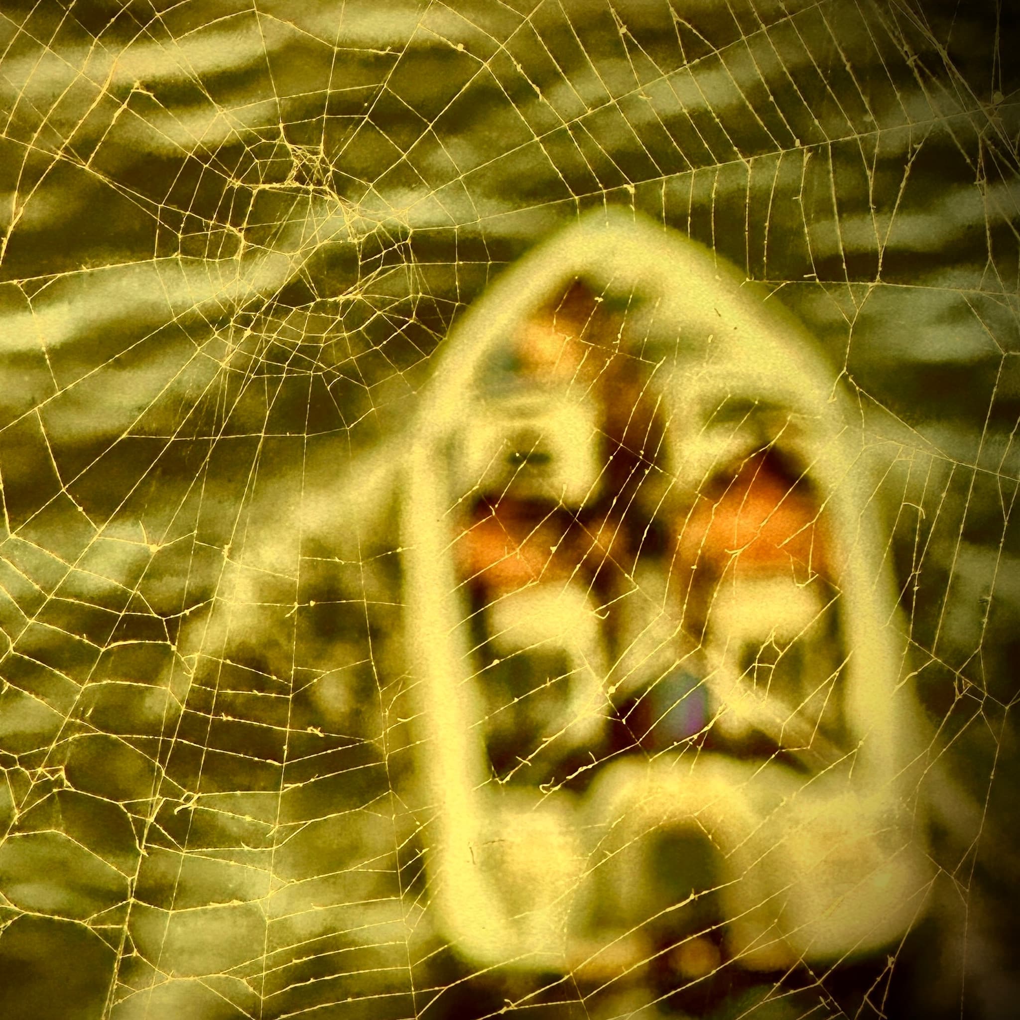 S8 Trailer - KXAN Catalyst cover