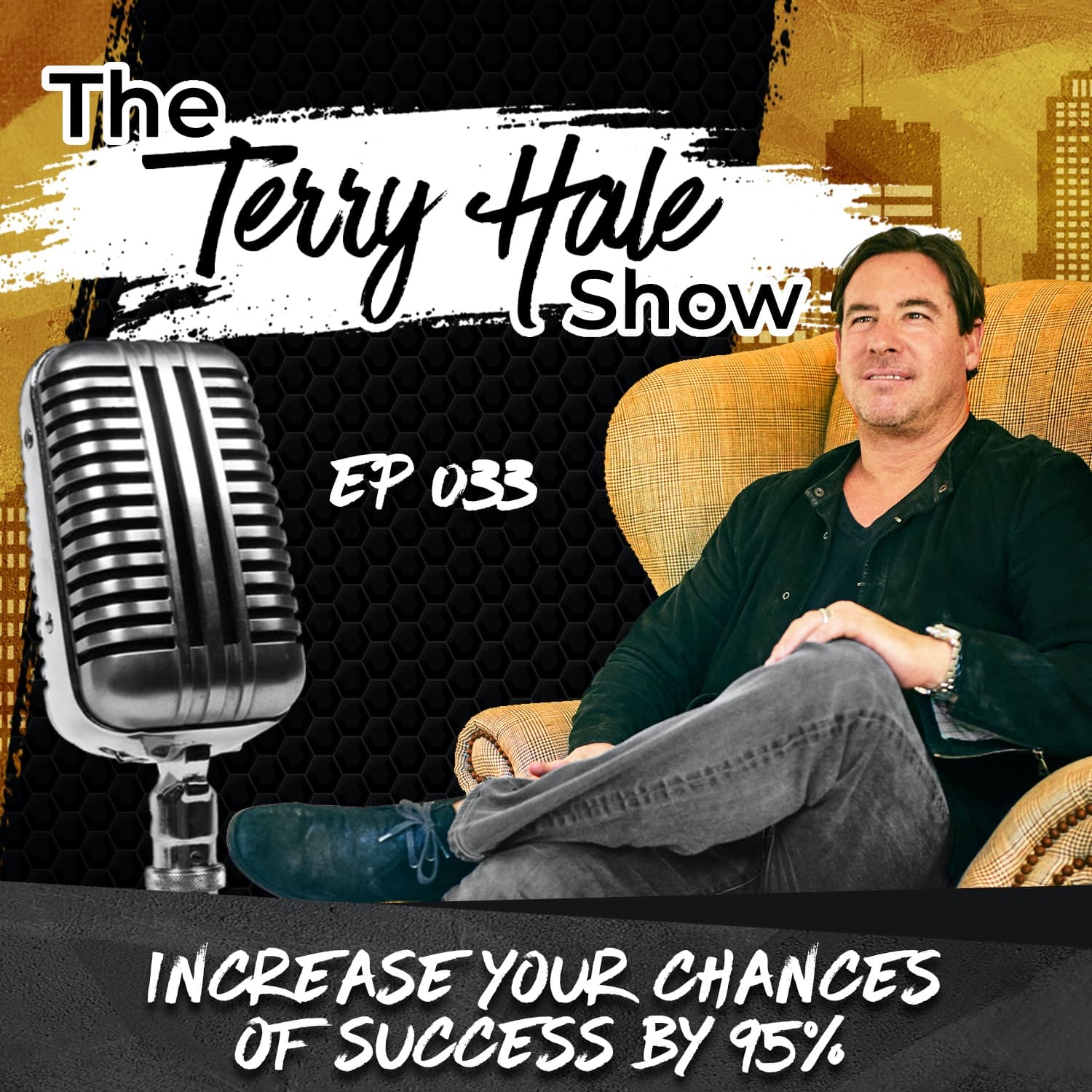 Episode 33 - Increase Your Chances of Success by 95% - The Terry Hale Show cover