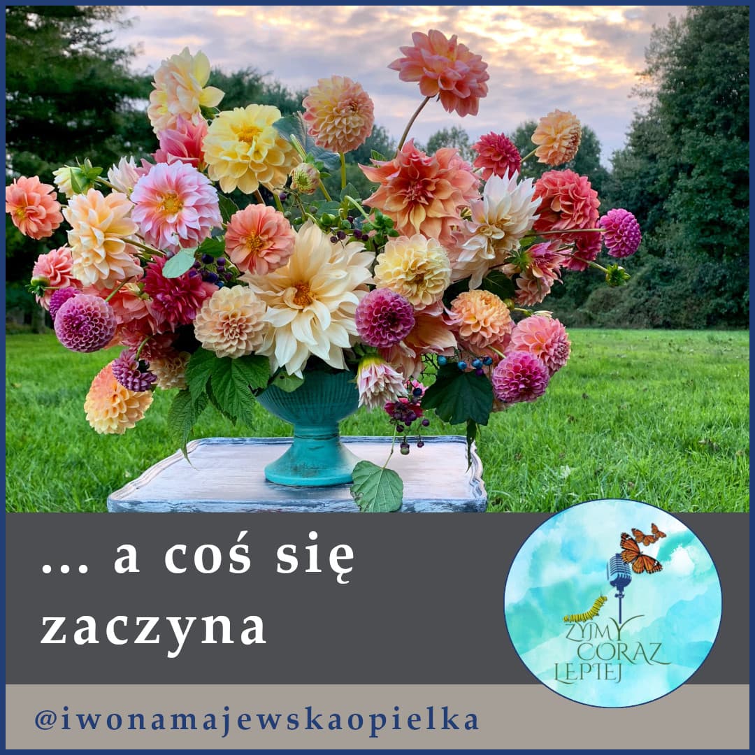 ... a coś się zaczyna. - Żyjmy Coraz Lepiej cover