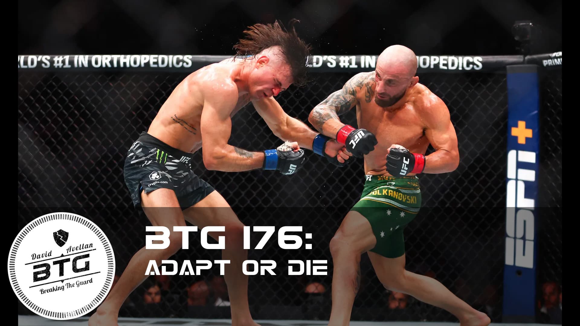 BTG 176 - Adapt or Die - Breaking The Guard Podcast cover