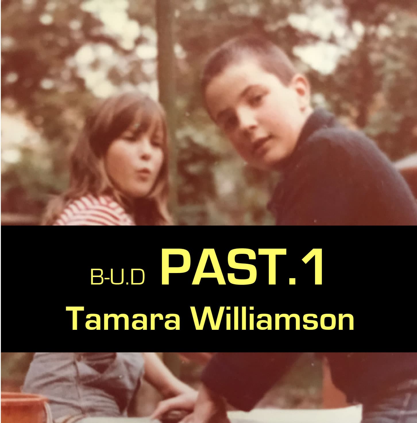 BREAK-UP DIET Chapter 2 The Past. - Tamara Williamson cover
