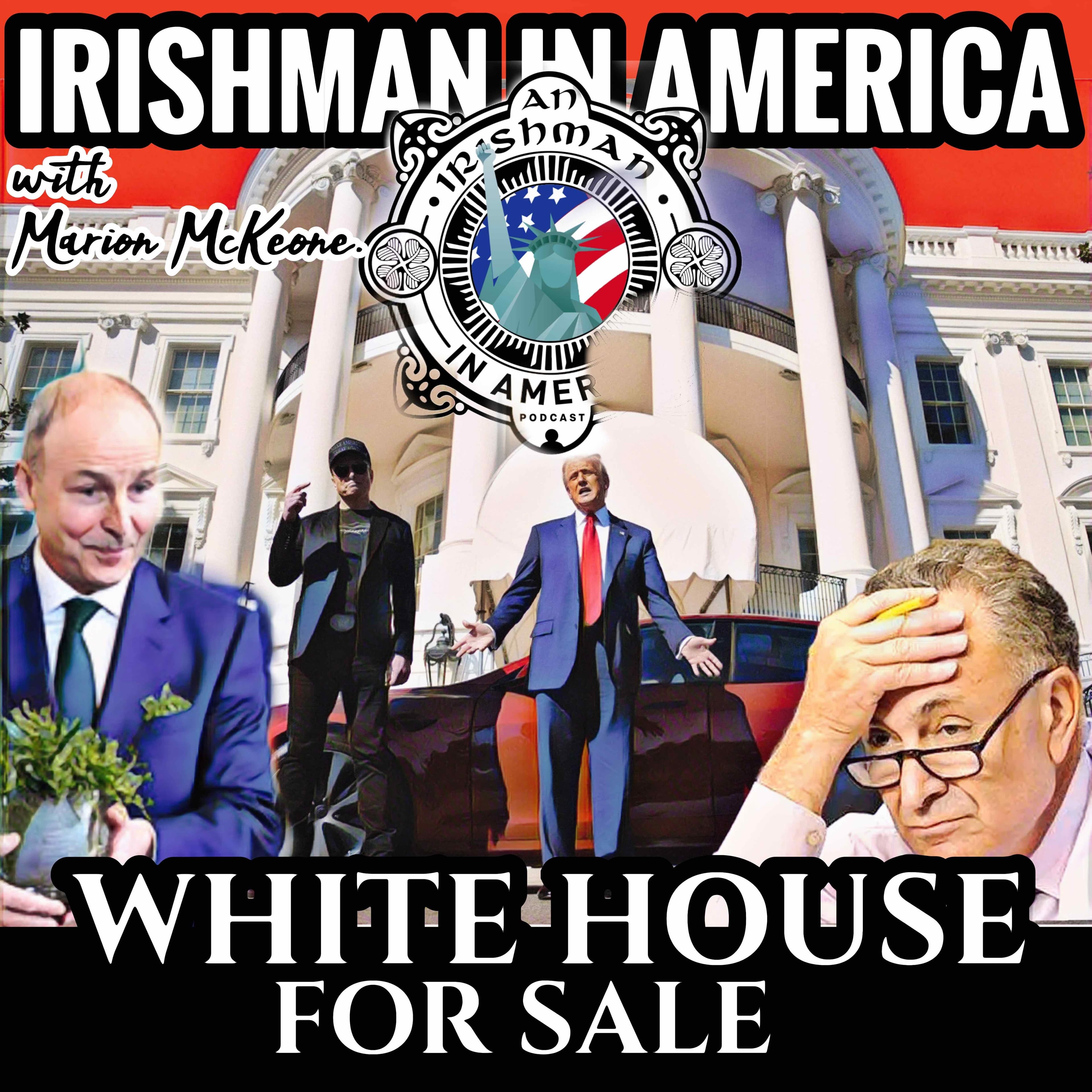 Did Democrats Give Donald A Dig Out? - Irishman in America - An Irishman Abroad cover