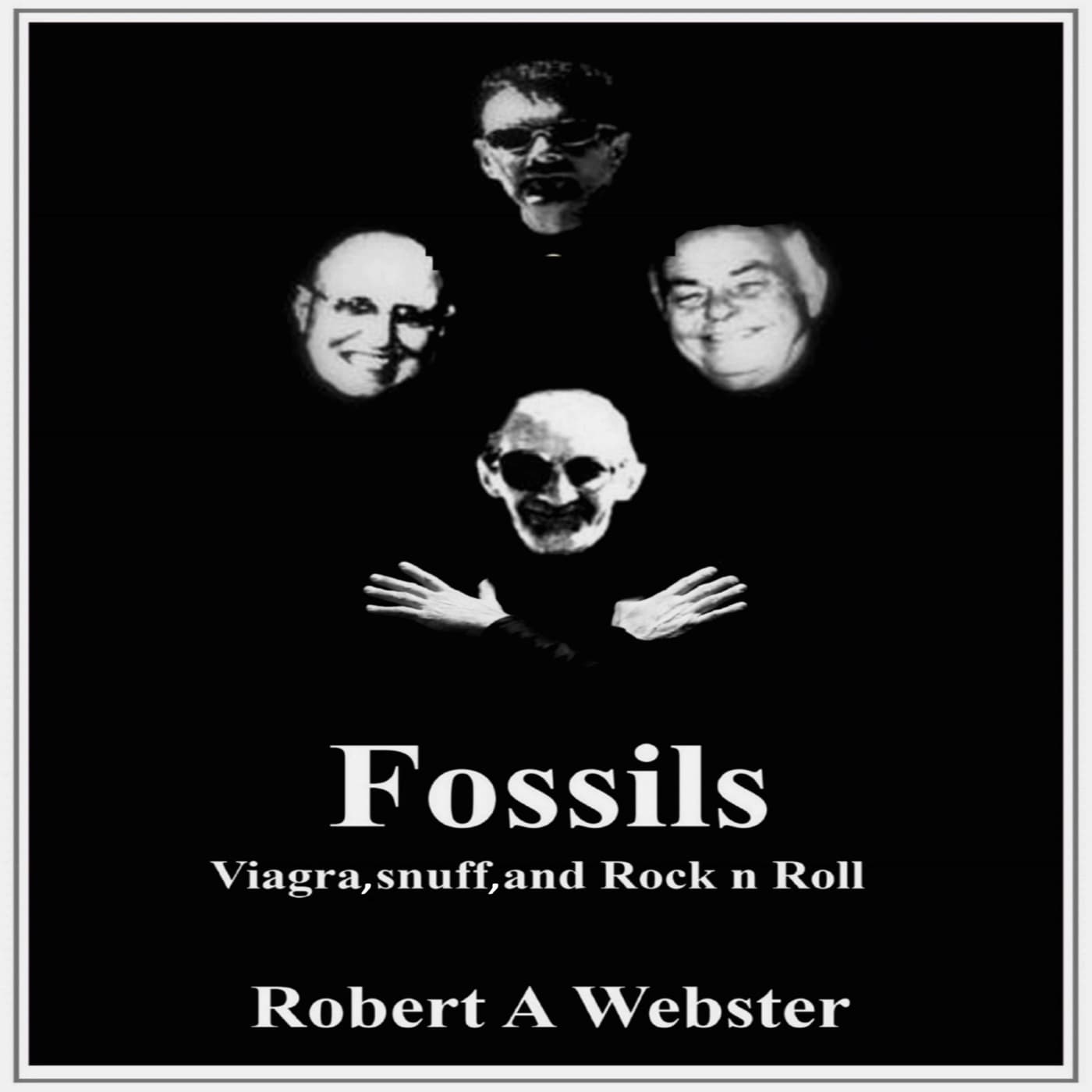 Audio Books - RAW - Fossils - Audio Books - RAW cover