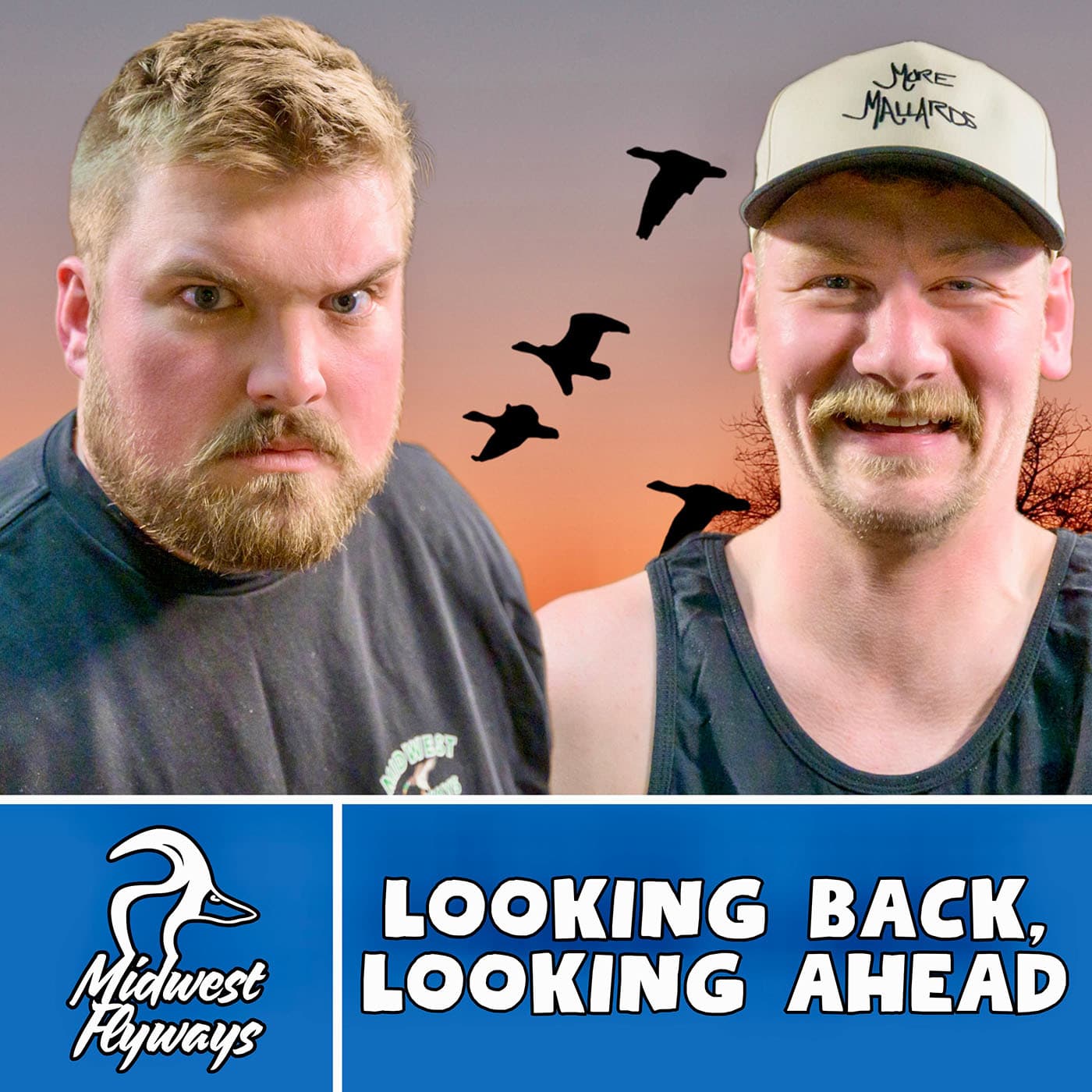 Looking Back, Looking Ahead - Midwest Flyways Podcast cover
