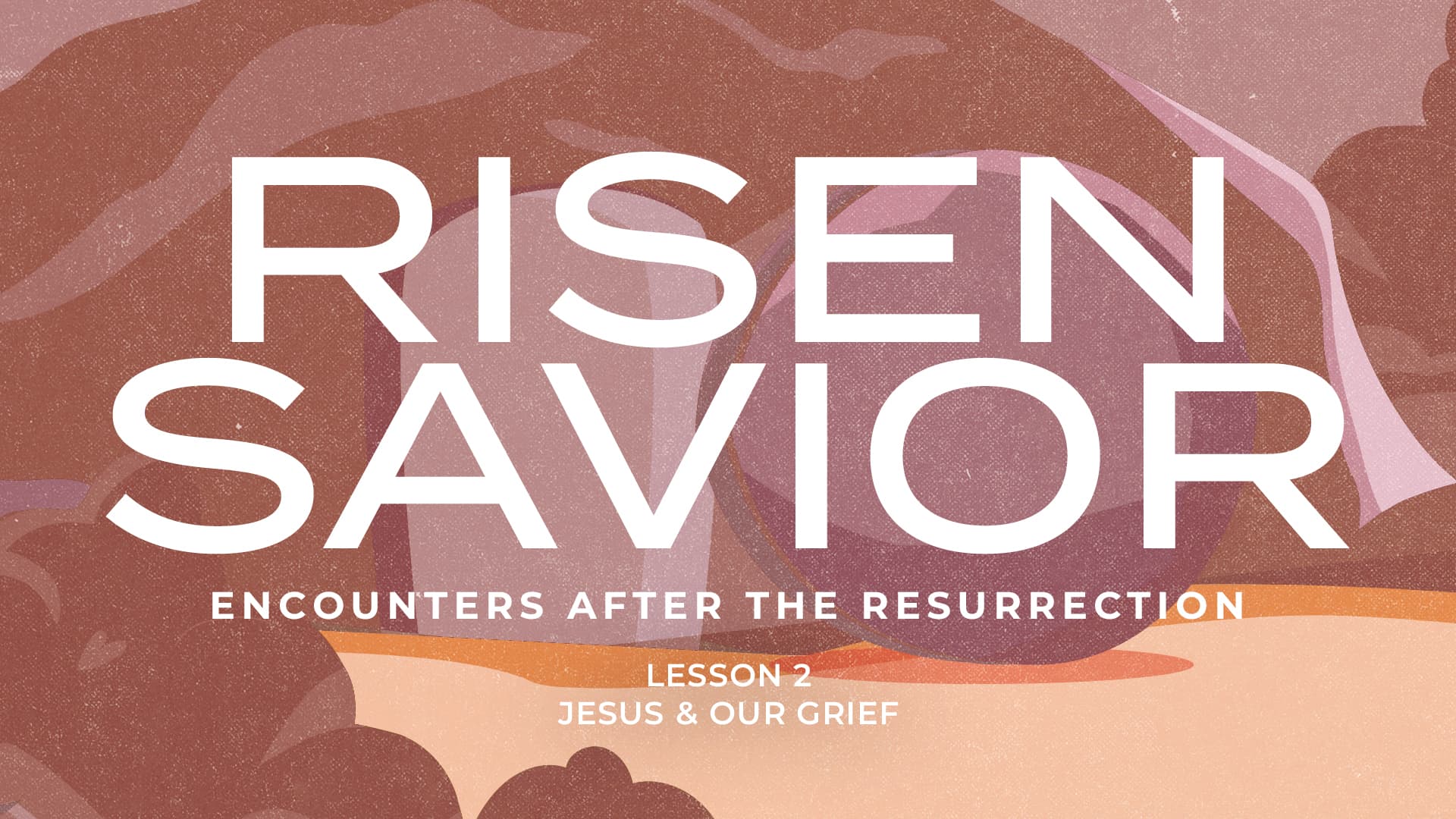 Jesus & Our Grief (Risen Savior — Lesson 2) - Fellowship Baptist Church cover