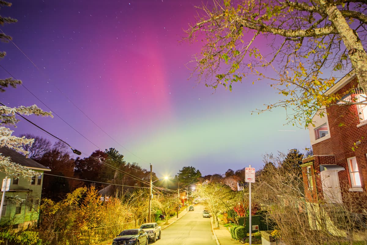 The Magilla Gorilla Show (Ep 60 November Sojourn VI) - Our Passion is Music & Friends Official cover