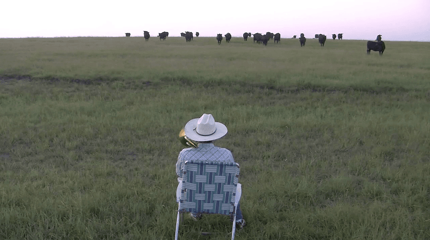 673. Serenading the cattle with a trombone - BestofYouTube.com - Best of YouTube (video) cover