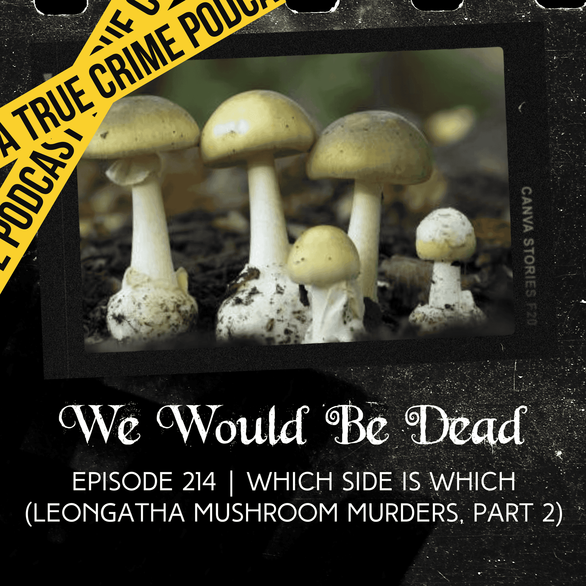 Which Side Is Which (Leongatha Mushroom Murders, Part 2) - We Would Be Dead cover