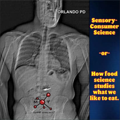 Sensory-Consumer Science - Mark and Toddcast cover