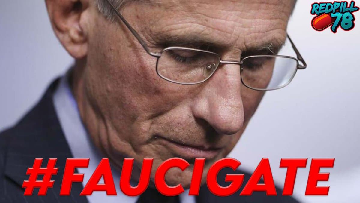 4 Things We Can Learn from FauciGate - QUANTUM HEALTH with Andy Robbins cover