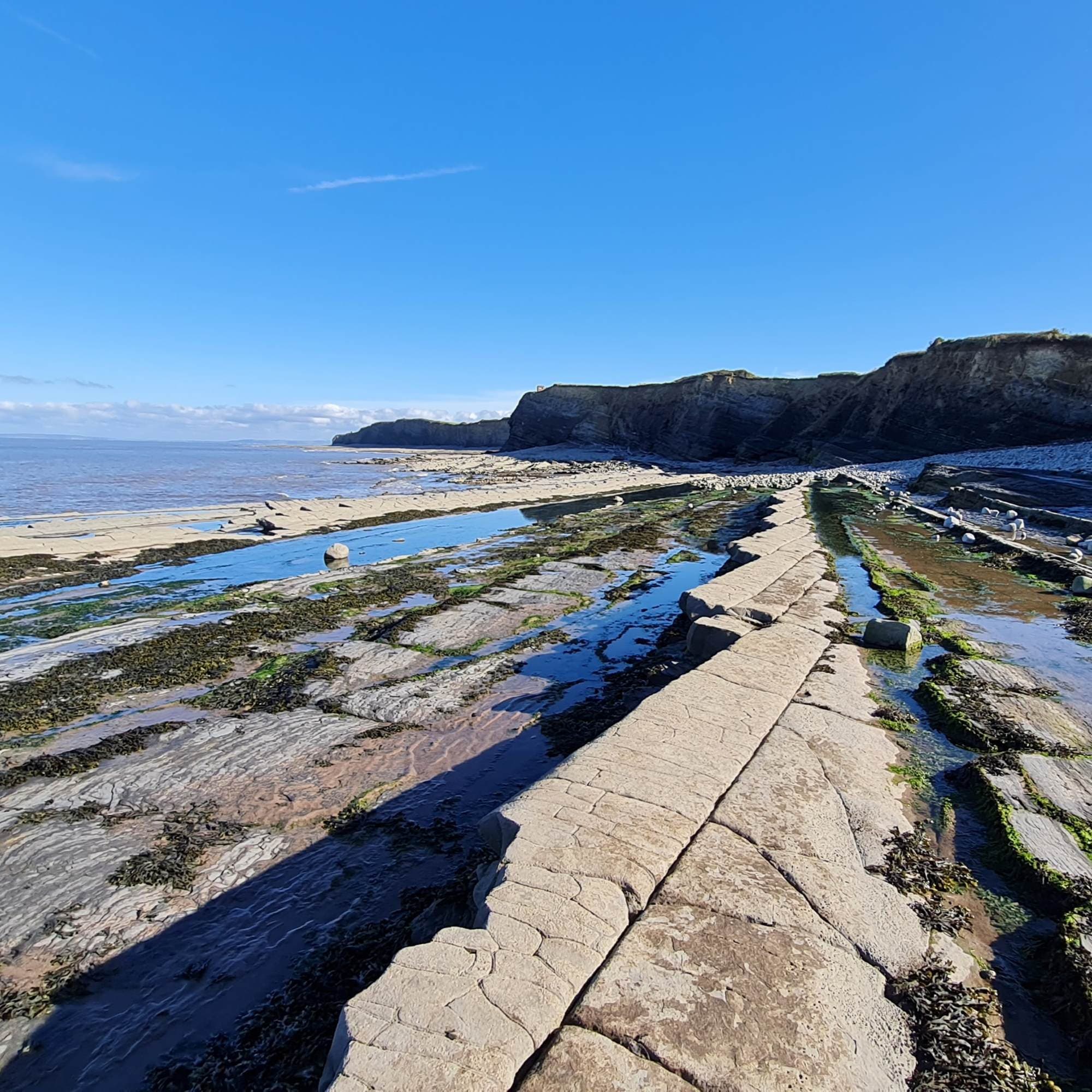 248 Late morning air on Kilve beach - Radio Lento podcast cover
