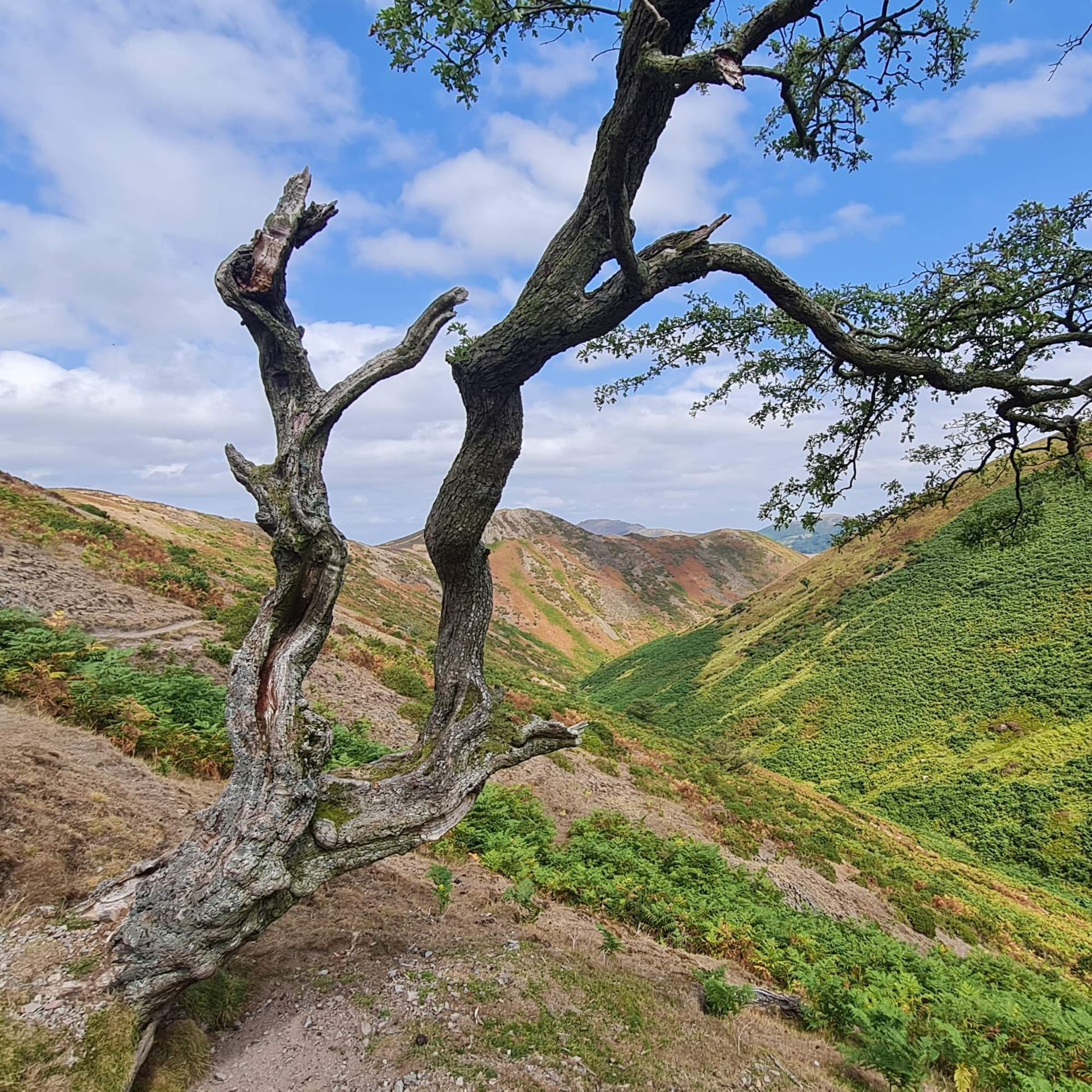 284 The wind of Long Mynd - Radio Lento podcast cover