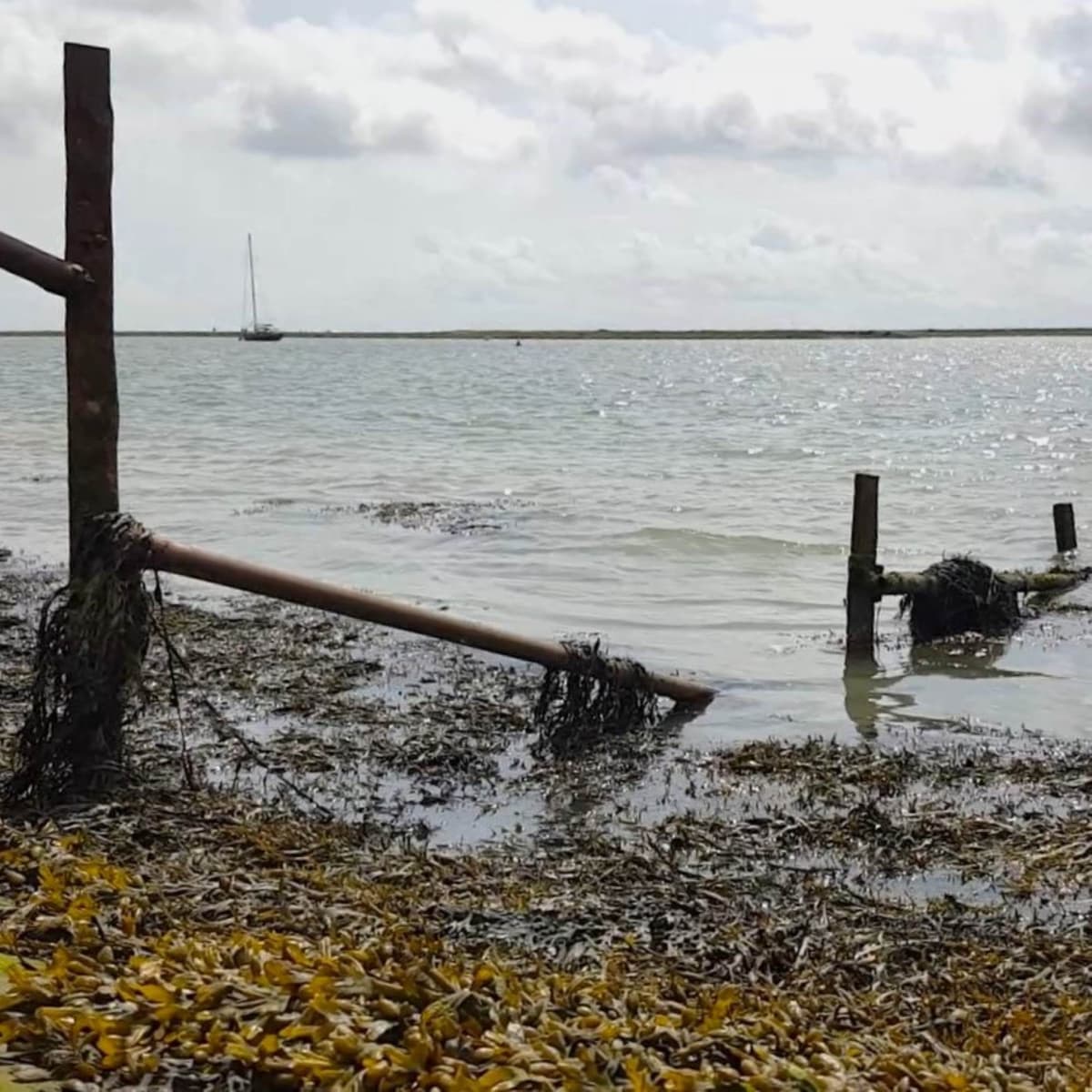 288 Tidal estuary at night (sleep safe with plane at 23m) - Radio Lento podcast cover