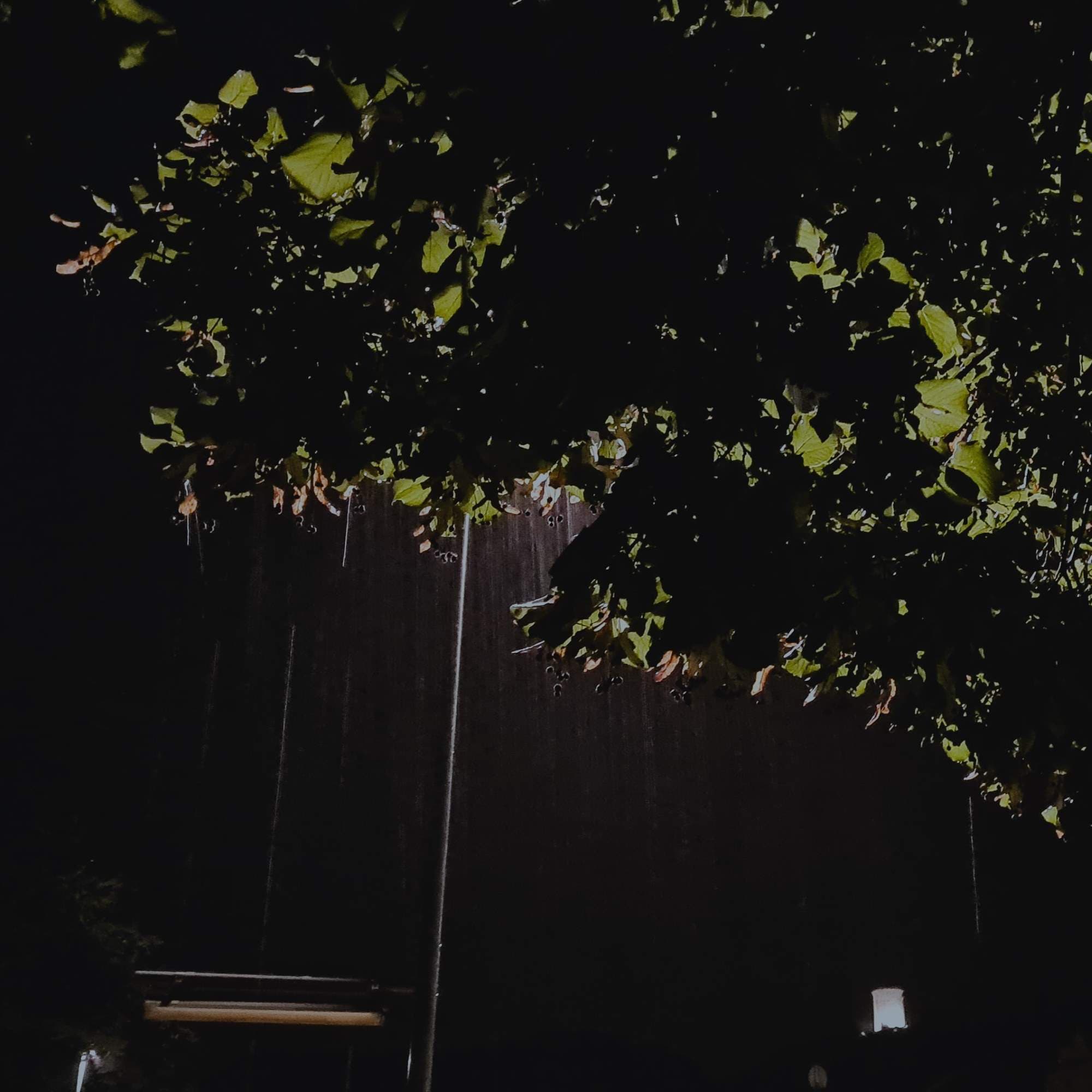 290 Night rain in the Pyrenees (sleep safe) - Radio Lento podcast cover