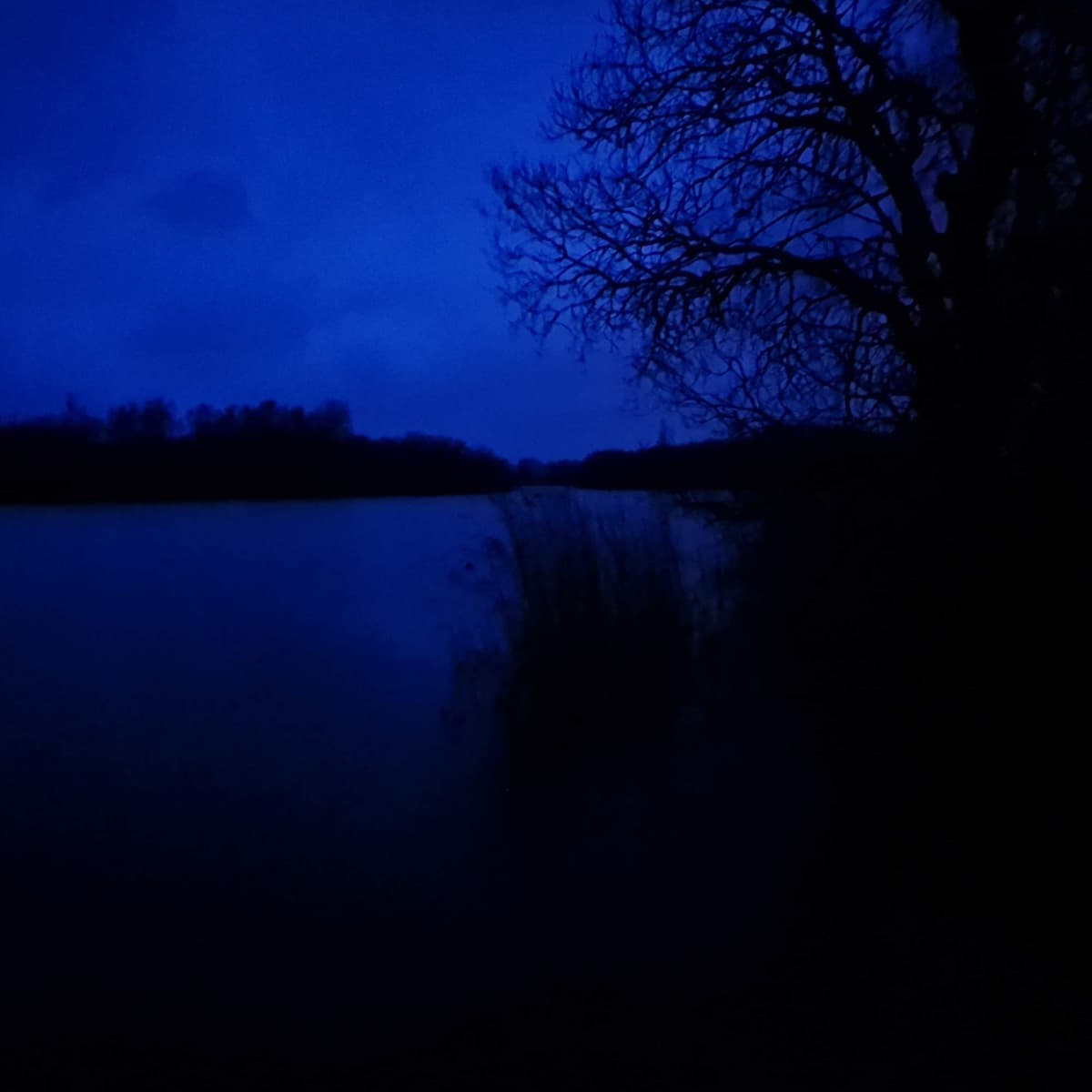 293 Pools of Rye Harbour (sleep safe) - Radio Lento podcast cover