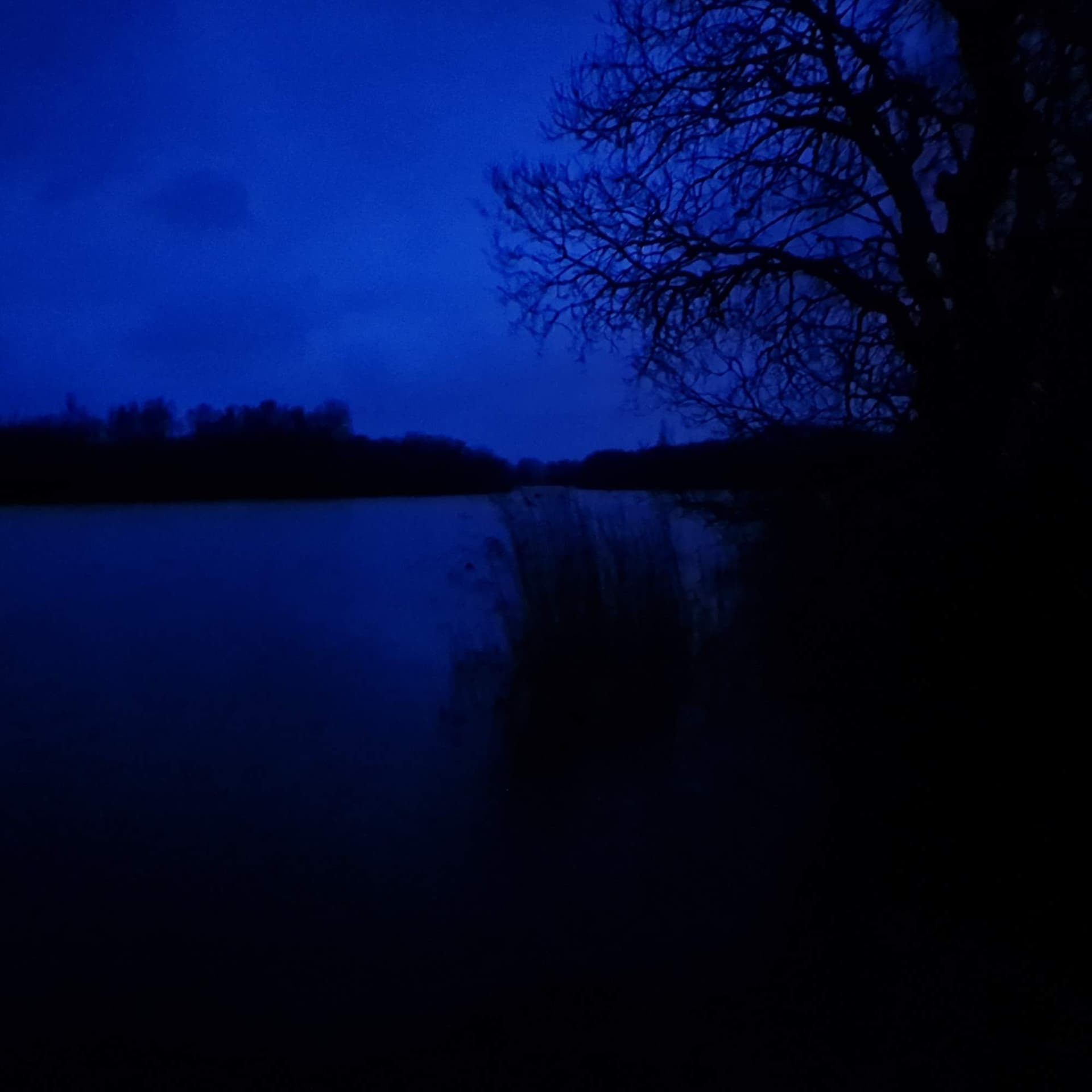 293 Pools of Rye Harbour (sleep safe) - Radio Lento podcast cover