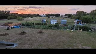 LFN#234- Food Security Starts in the Garden: Spring Seedling Tips with Brianne Bernsen — Live Free Now w/ John Bush cover