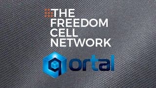 LFN #240 - Qortal Explained: Decentralized Internet, Freedom Cells & Building Outside the System (w/ Founders) - Live Free Now w/ John Bush cover
